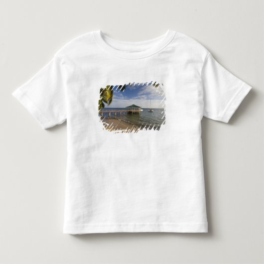 セーシェル プララン島 アンス・ボワ・ド・ローズ トドラーTシャツ (正面)