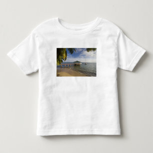 セーシェル プララン島 アンス・ボワ・ド・ローズ トドラーTシャツ