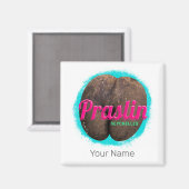 セーシェル プラレン島 インド洋 レトロ お土産 マグネット (正面/裏面)
