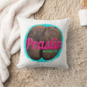 セーシェル プラレン島 インド洋 ヴィンテージ お土産 クッション (ブランケット)