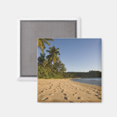 セーシェル、マヘ島、アンスタカマカビーチ、2 マグネット (正面/裏面)