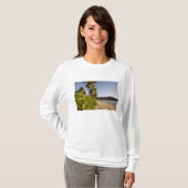 セーシェル、マヘ島、アンスタカマカビーチ、 Tシャツ (正面フル)