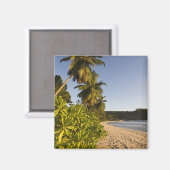 セーシェル、マヘ島、アンセ高坂ビーチ、 マグネット (正面/裏面)