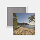 セーシェル、マヘ島、アンセ高坂ビーチ、 マグネット (正面/裏面)