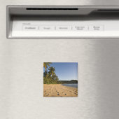 セーシェル、マヘ島、アンセ高坂ビーチ、2 マグネット (インサイチュ (食洗機))