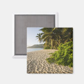 セーシェル、マヘ島、アンセ・マリー・ルイーズ マグネット (正面/裏面)