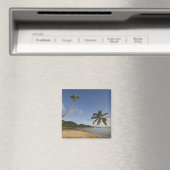 セーシェル、マヘ島、水平ヤシ、 マグネット (インサイチュ (食洗機))