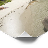 セーシェル、ラディグ島、ユニオン不動産 フォトプリント            (角)