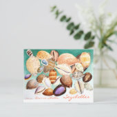 セーシェルCowrieシェル ポストカード (スタンド正面)