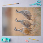 セージグラスの分野で3ガンベルの鳥をデクページ 薄葉紙 (クラフト)