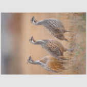 セージグラスの分野で3ガンベルの鳥をデクページ 薄葉紙 (正面)