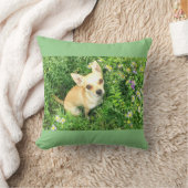 セージグリーンのチワワの投球枕 クッション (ブランケット)