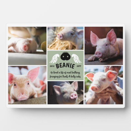 セージグリーンの天使の翼のある豚の鼻記念写真コラージュ フォトプラーク (正面)