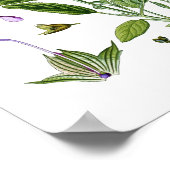 セージハーブ植物性キッチンダイニングウォールデコール ポスター (角)