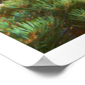 セージマウンテンズサンセット ポスター (角)