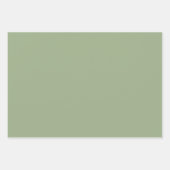セージモダングリーンプレーン無地のカラー ラッピングペーパーシート (正面)