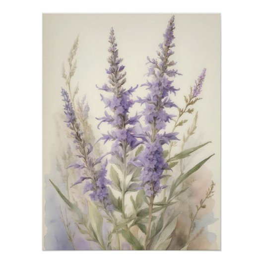 セージロシアの ポスター (正面)