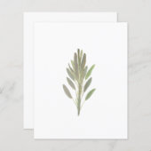 セージ植物植物植物植物の緑の紙シート (正面/裏面)