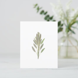 セージ植物植物植物植物の緑の紙シート