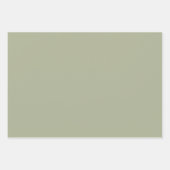 セージ緑の赤面お洒落の葉のパターン ラッピングペーパーシート (正面3)