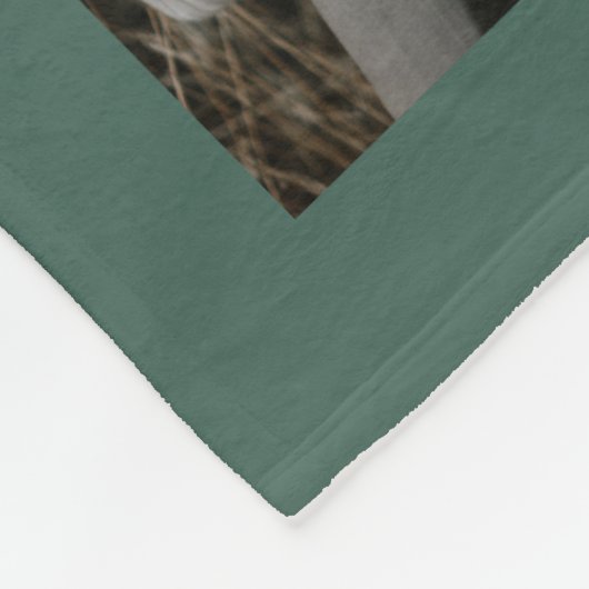 セージ緑5枚の写真モダン植物家族のプレゼント フリースブランケット (角)