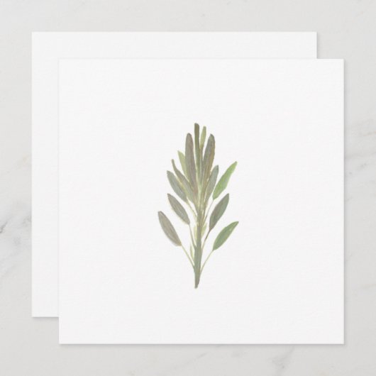 セージ薬草植物植物の緑のカード (正面/裏面)
