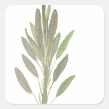 セージ薬草植物芸術プリント