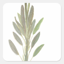 セージ薬草植物芸術プリント スクエアシール