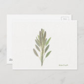 セージ薬草植物芸術プリント ポストカード (正面/裏面)
