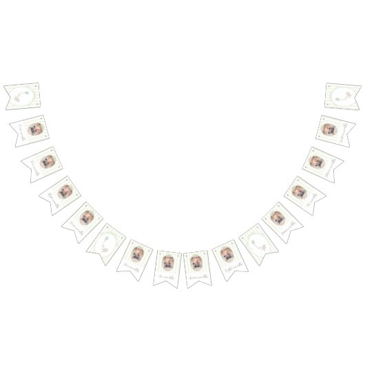 セージ間抜けグリーンガース12ヶ月フォトバナー バンティングフラッグ (全)