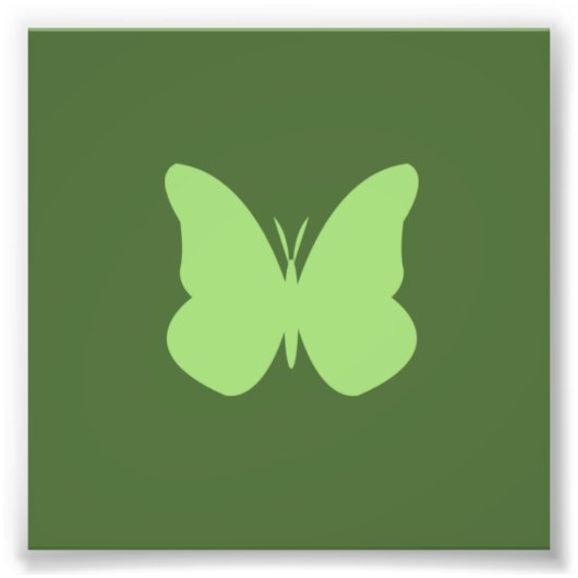 セージ・バタフライ フォトプリント            (正面)