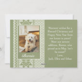 セージ フェア アイル コンフォート アンド ジョイ ファミリー フォト シーズンカード (裏面)