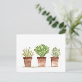 セージ、ローズマリー、タイムの庭 ポストカード (スタンド正面)