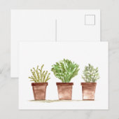 セージ、ローズマリー、タイムの庭 ポストカード (正面/裏面)