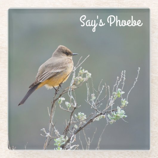 セーズ・フォエベ ガラスコースター (正面)