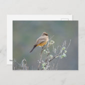 セーズ・フォエベ ポストカード (正面/裏面)