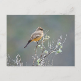 セーズ・フォエベ ポストカード