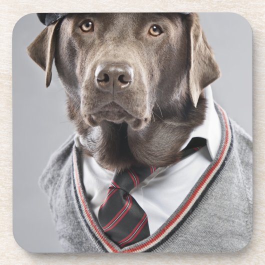 セーターおよび帽子の犬 コースター (正面)