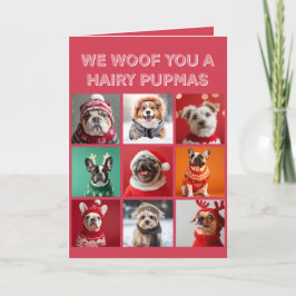 セーターの小さな犬クリスマスカード シーズンカード