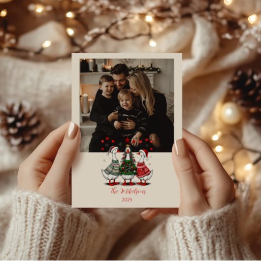 セーターを着たクリスマスのガチョウの写真 シーズンカード