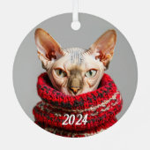 セーターを着た毛のないスフィンクス猫 メタルオーナメント (裏面)