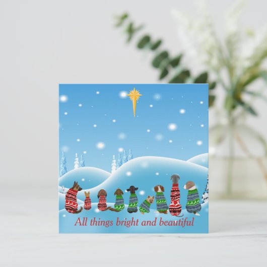 セーターを着た犬たち動物たち シーズンカード (スタンド正面)