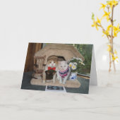 セーターを着た猫たちのかわいいアーガイル記念日 カード (黄色い花)