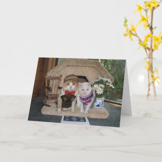 セーターを着た猫たちのかわいいアーガイル記念日 カード (黄色い花)