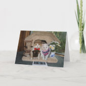 セーターを着た猫たちのかわいいアーガイル記念日 カード (正面)