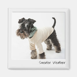 セーター天気即発カメラカスタムマグネット マグネット