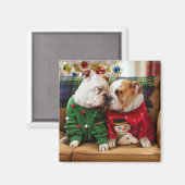 セーター姿のクリスマスブルドッグ マグネット (正面/裏面)