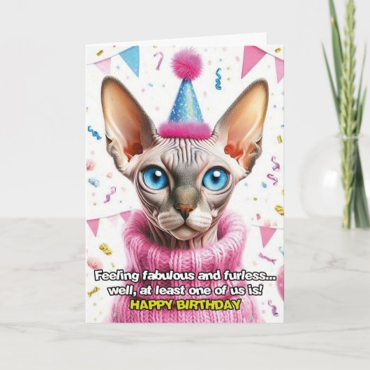 セーター姿のスフィンクス猫の誕生日カード カード (正面)