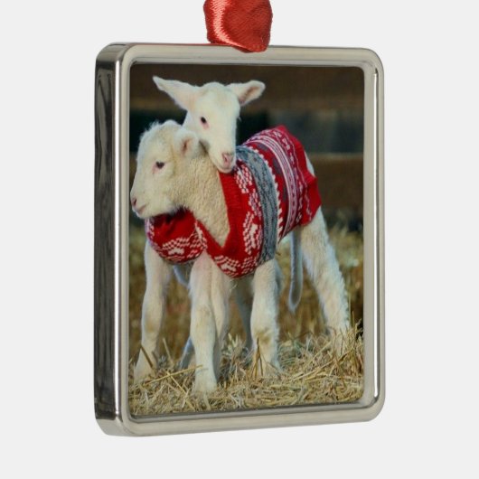 *セーター姿の愛らしいクリスマスヤギ* メタルオーナメント (右)