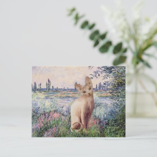 セーヌ川沿いで - クリーム色のスフィンクス猫 ポストカード (スタンド正面)